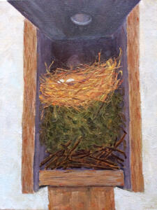 Three Nests in Bluebird Box - Wren, Phoebe, Bluebird