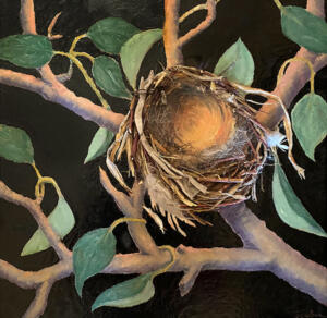 Eastern Kingbird Nest - Ready  SOLD