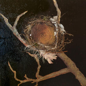 Long Gone - Eastern Kingbird Nest