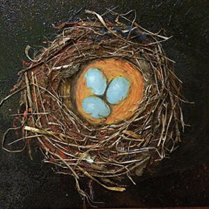 Robin's Nest on Black  SOLD