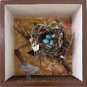 Catbird Nest